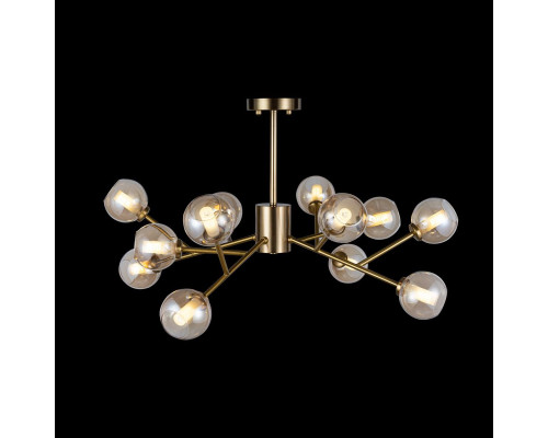 Потолочная люстра Loft IT Orion 10020/12