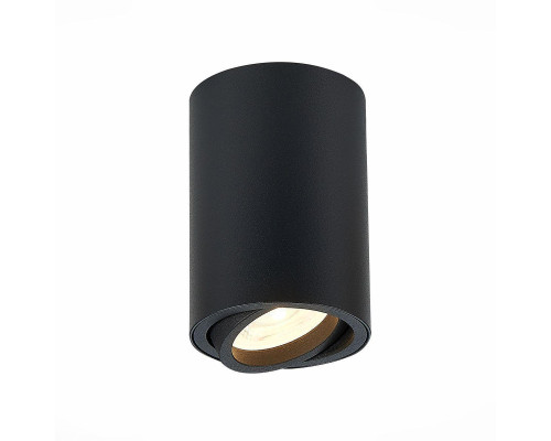 Потолочный светильник ST Luce ST108.407.01 Потолочный светильник ST Luce ST108.407.01