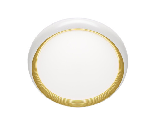 Настенно-потолочный светодиодный светильник Sonex Pale Tofiq White 7650/DL