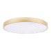 Потолочный светодиодный светильник Loft IT Flims 10228/B