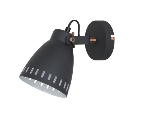 Спот Camelion WML-428-1 C02 13057 Спот Camelion WML-428-1 C02 13057