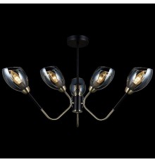 Потолочная люстра Illumico IL9960-6CSQ-79 BK AB