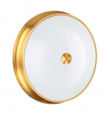 Настенно-потолочный светильник Odeon Light Walli Marsei 4824/4C
