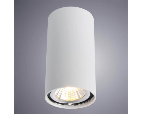 Потолочный светильник Arte Lamp A1516PL-1WH