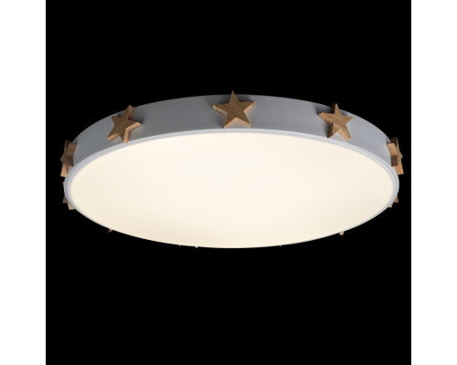 Потолочный светодиодный светильник Loft IT Axel 10006/36 white Потолочный светодиодный светильник Loft IT Axel 10006/36 white