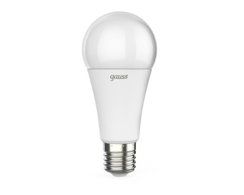 Лампа светодиодная Gauss E27 16W 6500K матовая 102502316 Лампа светодиодная Gauss E27 16W 6500K матовая 102502316