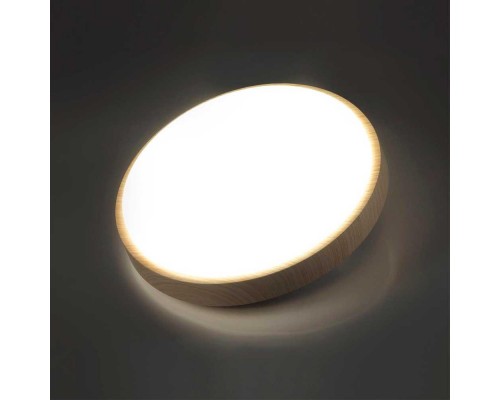 Настенно-потолочный светодиодный светильник Sonex Losta 7607/CL