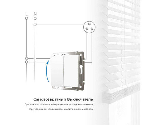 Выключатель двухклавишный с самовозвратом Werkel белый матовый W1122461 4690389192364 Выключатель двухклавишный с самовозвратом Werkel белый матовый W1122461 4690389192364