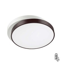 Потолочный светодиодный светильник Lumion Ledio Agatha 4509/72CL