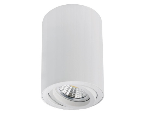 Точечный накладной светильник Arte Lamp SENTRY A1566PL-1WH Точечный накладной светильник Arte Lamp SENTRY A1566PL-1WH