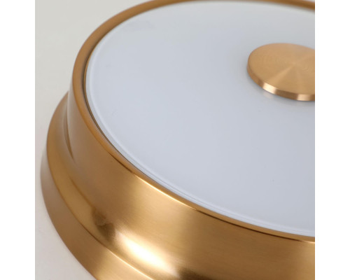 Потолочный светильник Favourite Pannikin 2375-2C Потолочный светильник Favourite Pannikin 2375-2C