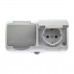 Розетка двойная ЭРА Intro Atlantic Schuko 2x2P+E 16A 250V с крышкой 5-203-03 Б0051060
