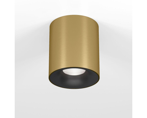 Потолочный светодиодный светильник Elektrostandard Primo 25116/LED a069414