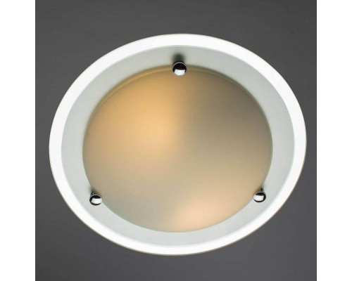 Потолочный светильник Arte Lamp A4831PL-2CC