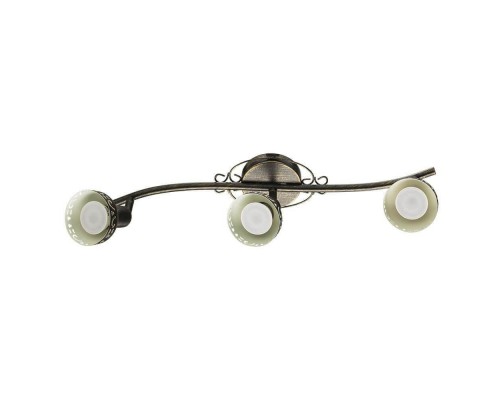 Спот Arte Lamp Focus A5219PL-3BR