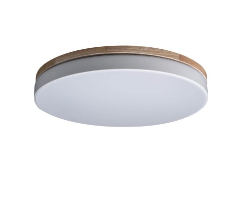 Потолочный светодиодный светильник Loft IT Axel 10001/36 white