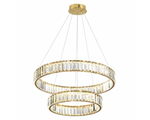 Подвесной светодиодный светильник Odeon Light Vekia 5015/60L