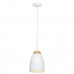 Подвесной светильник Loft IT Watchman Loft4402A-Wh