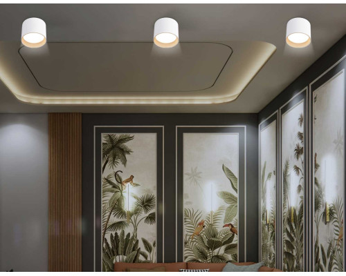 Светильник накладной Ambrella Light TN5304 Светильник накладной Ambrella Light TN5304