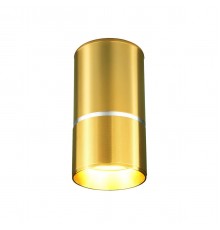 Потолочный светильник Elektrostandard DLN106 GU10 золото a047732
