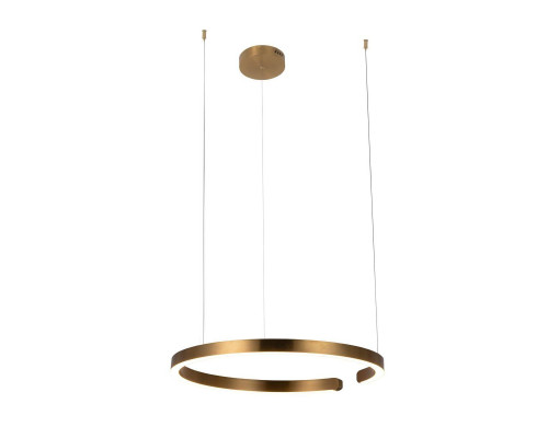 Подвесной светодиодный светильник Loft IT Ring 10013L Подвесной светодиодный светильник Loft IT Ring 10013L
