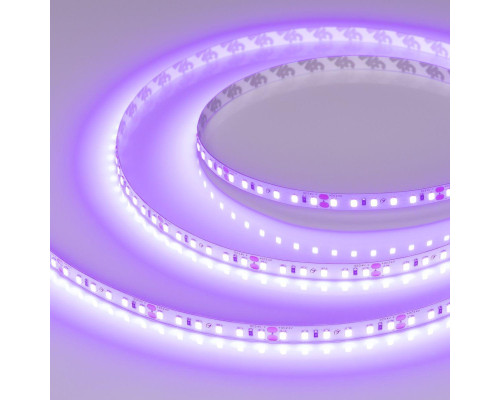 Светодиодная лента Arlight 6W/m 120Led/m 2835SMD фиолетовый 5M RT-A120-8mm 24V Violet 043384 Светодиодная лента Arlight 6W/m 120Led/m 2835SMD фиолетовый 5M RT-A120-8mm 24V Violet 043384