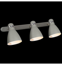 Спот Reluce 05060-0.8-03C GY