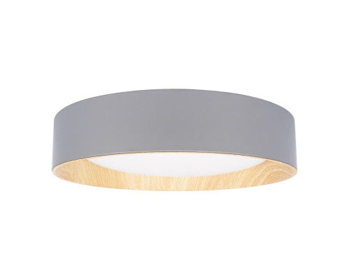 Потолочный светодиодный светильник Loft IT Coin 10202 Grey Потолочный светодиодный светильник Loft IT Coin 10202 Grey