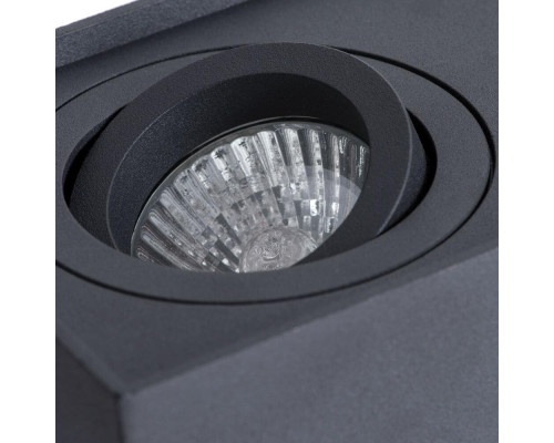 Потолочный светильник Arte Lamp Factor A5544PL-2BK Потолочный светильник Arte Lamp Factor A5544PL-2BK