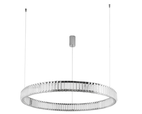 Подвесной светодиодный светильник Divinare Renata 1135/02 SP-48