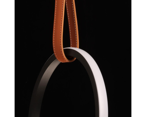 Подвесной светильник De Markt Ральф 675015901