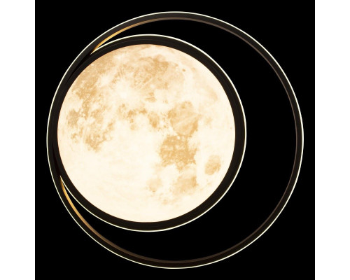 Потолочный светодиодный светильник Loft IT Luna 10217 Потолочный светодиодный светильник Loft IT Luna 10217