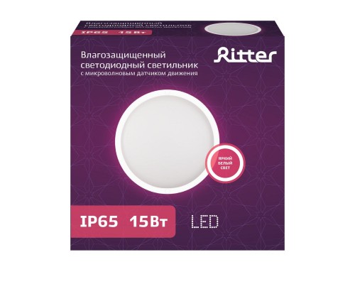 Настенно-потолочный светодиодный светильник Ritter DPP01-15-4K-MWS-R 56034 0