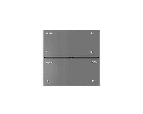 Панель управления Denkirs Control BT DK7201-DG