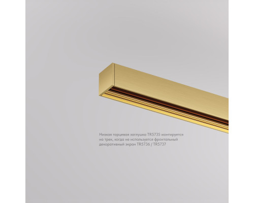 Заглушка торцевая Denkirs Shine Base (2 шт.) TR5735-SB