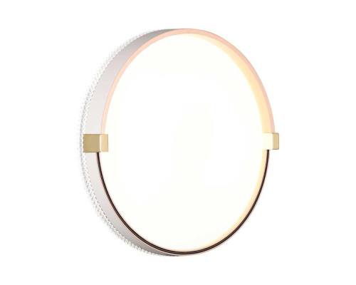 Настенно-потолочный светодиодный светильник Sonex Pale Olidi White 7646/CL Настенно-потолочный светодиодный светильник Sonex Pale Olidi White 7646/CL