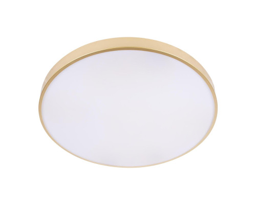 Потолочный светодиодный светильник Loft IT Flims 10228/B Потолочный светодиодный светильник Loft IT Flims 10228/B