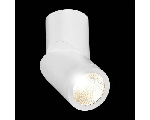 Светодиодный спот ST Luce ST650.542.10 Светодиодный спот ST Luce ST650.542.10