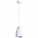 Подвесной светильник Arte Lamp Talli A5167SP-1WH