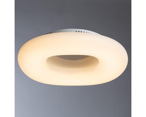 Потолочный светодиодный светильник Divinare 8003/46 PL-1