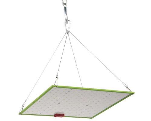 Прожектор светодиодный для растений ЭРА 50W 1310K Fito-80W-Led-QB Б0053285 Прожектор светодиодный для растений ЭРА 50W 1310K Fito-80W-Led-QB Б0053285