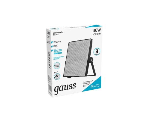 Прожектор светодиодный Gauss Evo 30W 6500К 687511330