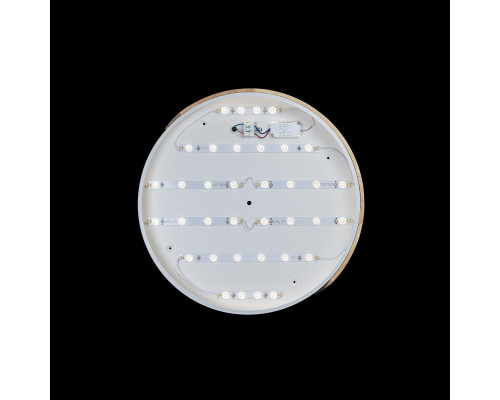 Потолочный светодиодный светильник Loft IT Axel 10004/36 white Потолочный светодиодный светильник Loft IT Axel 10004/36 white