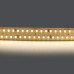 Светодиодная лента Lightstar 30W/m 280LED/m дневной белый 5M 422004