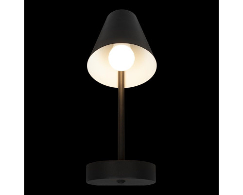 Бра Loft IT Shelf 10216/1W Black Бра Loft IT Shelf 10216/1W Black