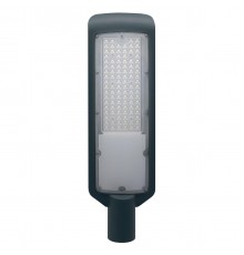 Уличный светодиодный светильник Duwi СКУ-04 100 Вт 25080 7