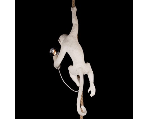 Подвесной светильник Loft IT Monkey 10314P Подвесной светильник Loft IT Monkey 10314P