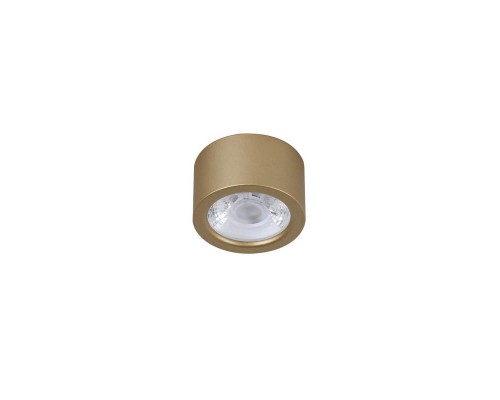 Потолочный светодиодный светильник Favourite Deorsum 2807-1U