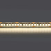 Светодиодная лента Lightstar 24W/m 240LED/m дневной белый 5M 421024
