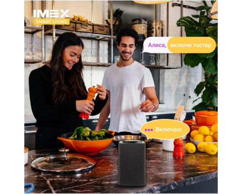Розетка Wi-Fi 2К+З IMEX 16A белая SML-211 WH Розетка Wi-Fi 2К+З IMEX 16A белая SML-211 WH